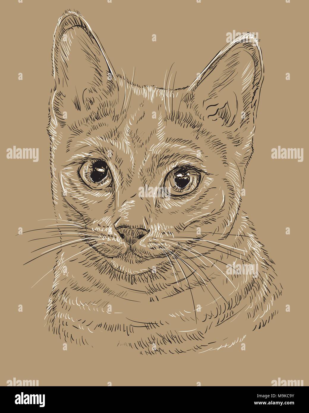 Profilo Di Vettore Ritratto Monocromatico Di Curiosi Russo