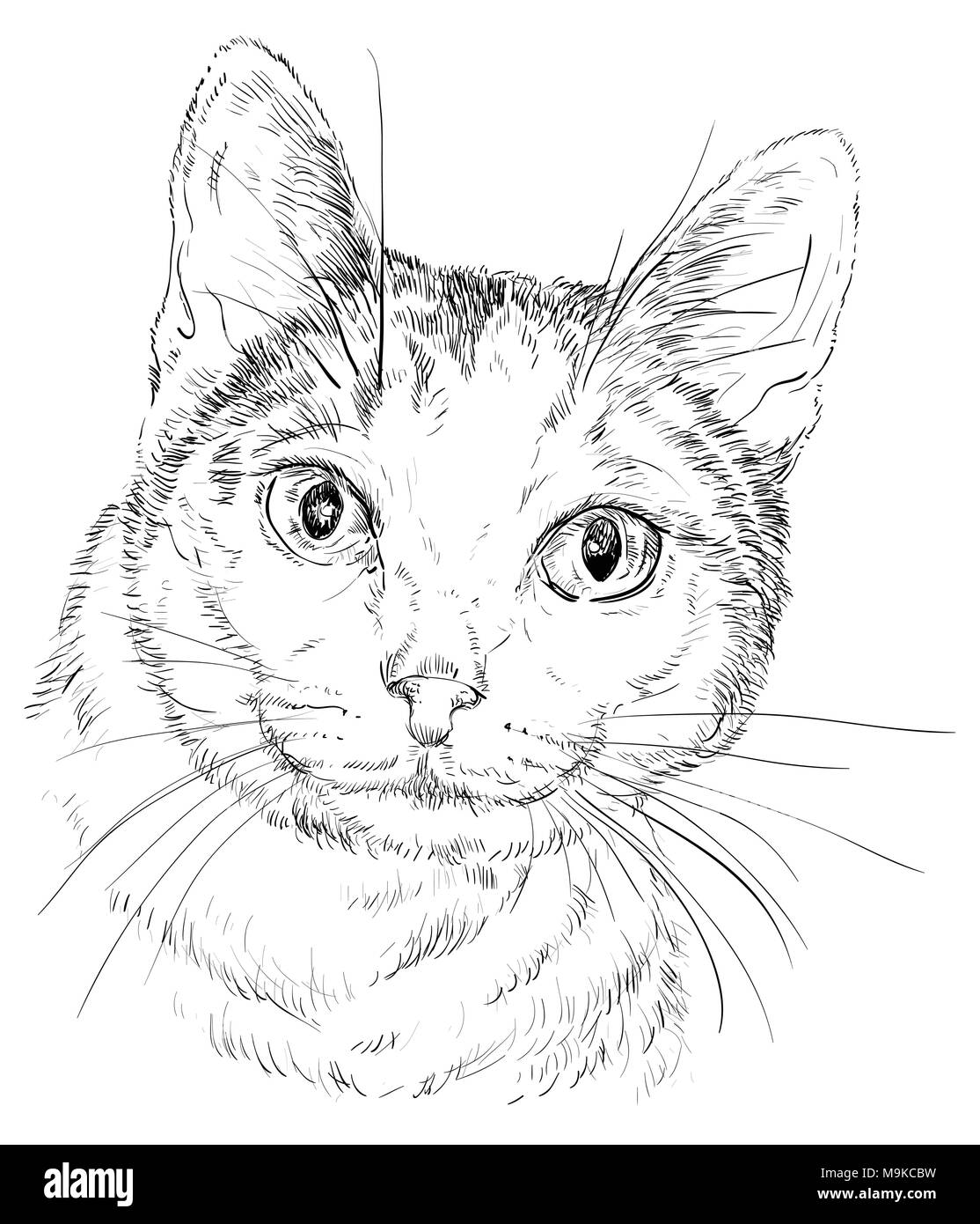 Profilo di vettore ritratto monocromatico di curiosi Mongrel cat in colore nero. Disegno a mano illustrazione isolati su sfondo bianco Illustrazione Vettoriale Profilo di vettore ritratto monocromatico di curiosi Mongrel cat in colore nero. Disegno a mano illustrazione isolati su sfondo bianco Illustrazione Vettoriale