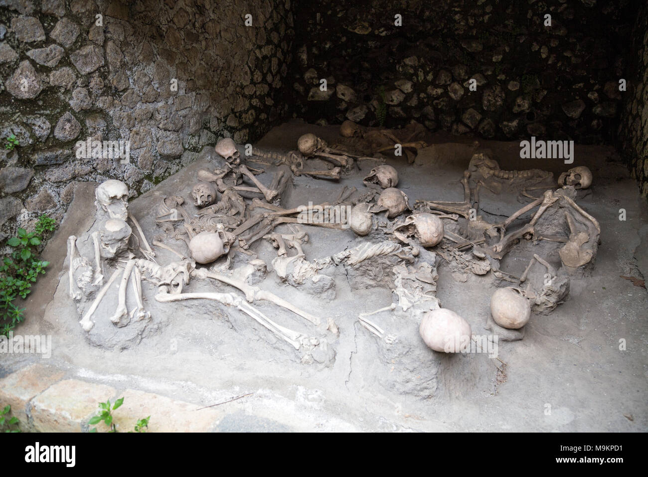 Scheletri e ossa delle vittime di una eruzione vulcanica in 79AD nella città romana di Ercolano, Italia Foto Stock