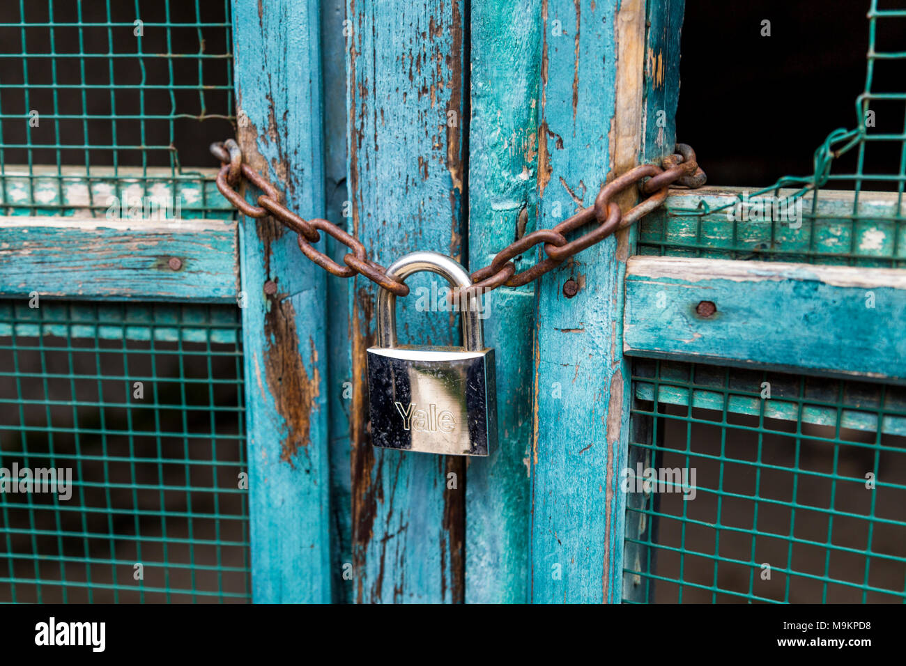 Un blocco di argento e la catena su una porta blu Foto Stock