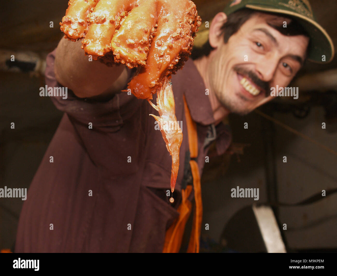L'equipaggio di un fondo industriale trawler nel Nord Atlantico elabora il pesce in fabbrica deck Foto Stock