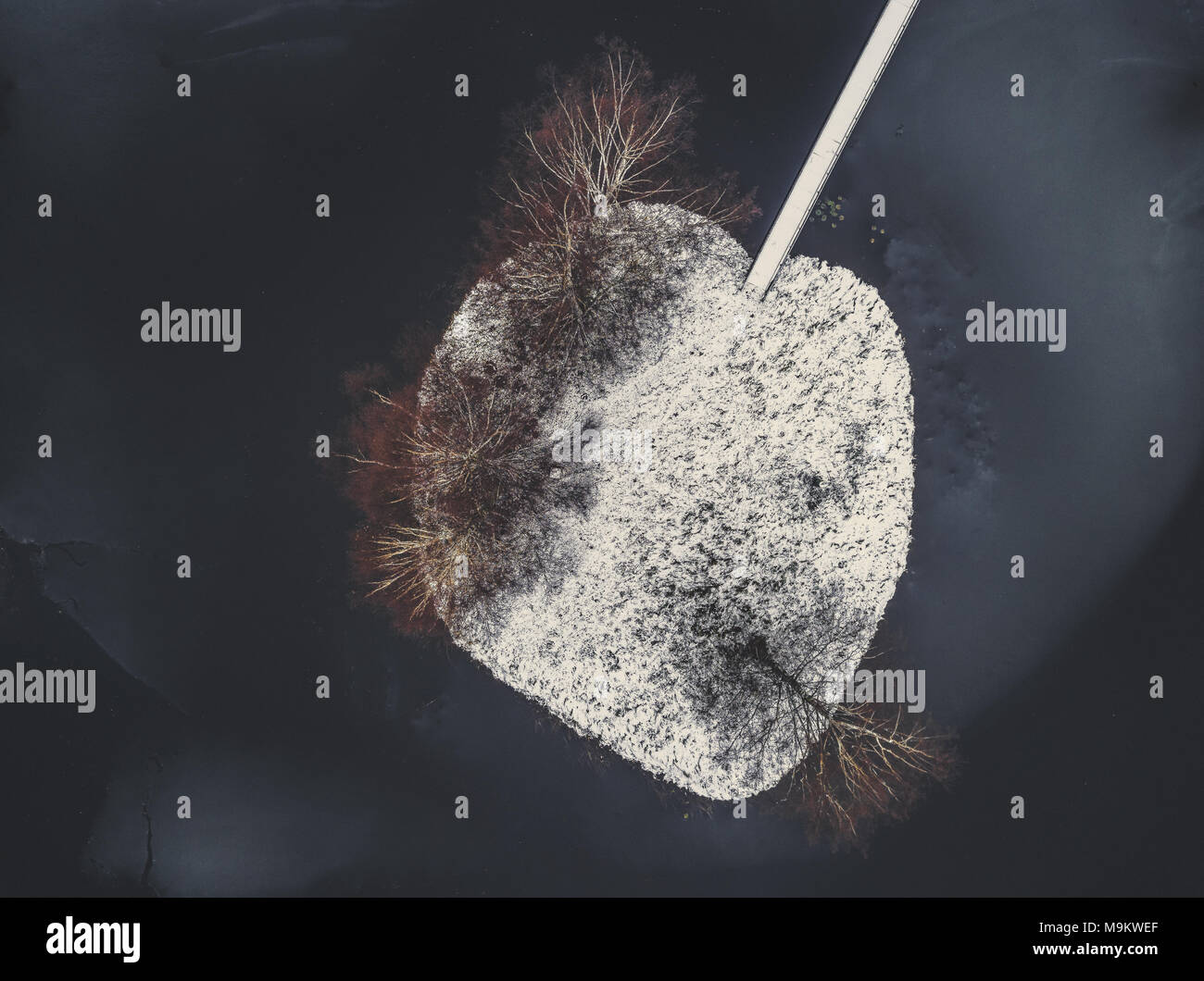 Antenna di Nizza drone fotografia di un cuore a forma di isola innevati con alberi in inverno - look vintage modifica Foto Stock