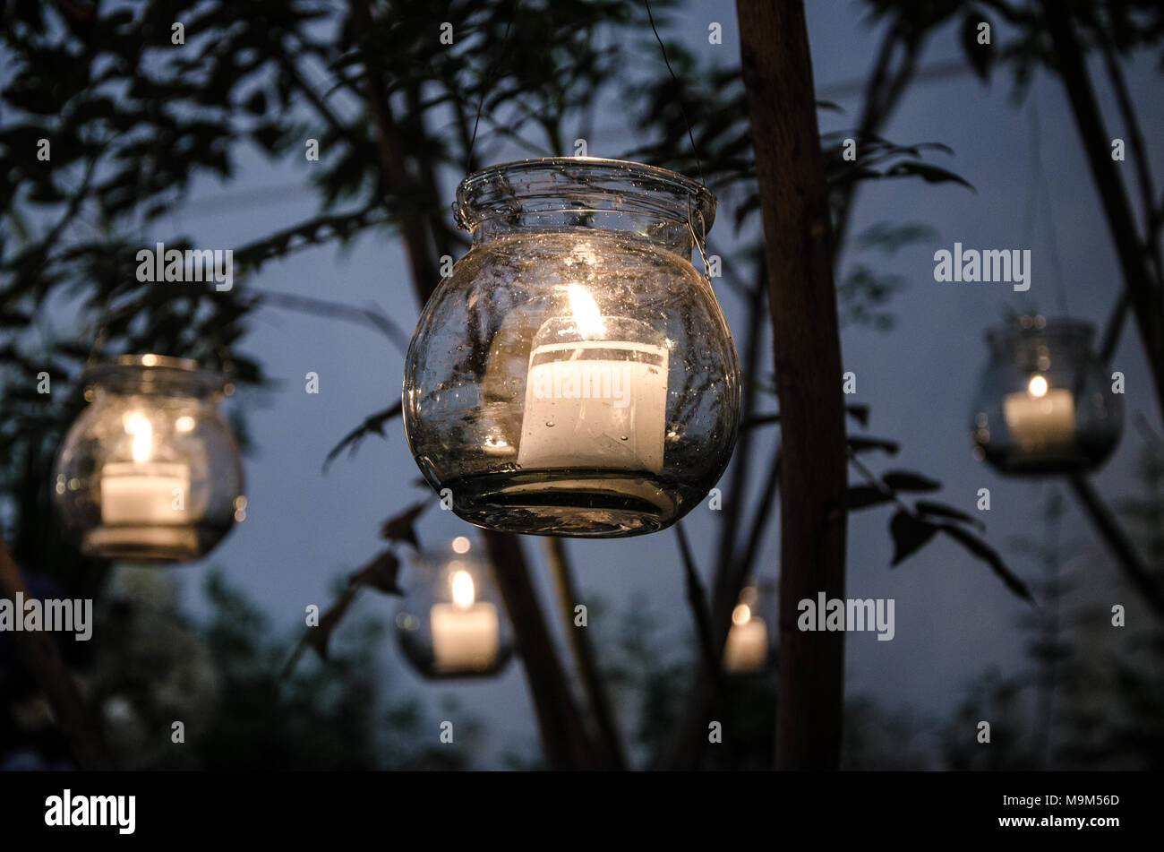 Candele galleggianti ormeggiate ad un albero Foto Stock