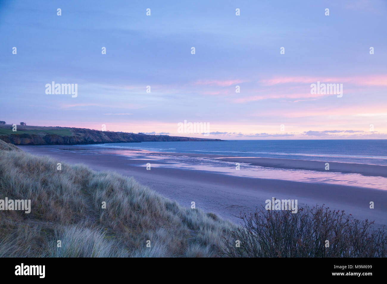 Un inverni a sunrise Lunan Bay vicino a Montrose Scozia Angus. Foto Stock