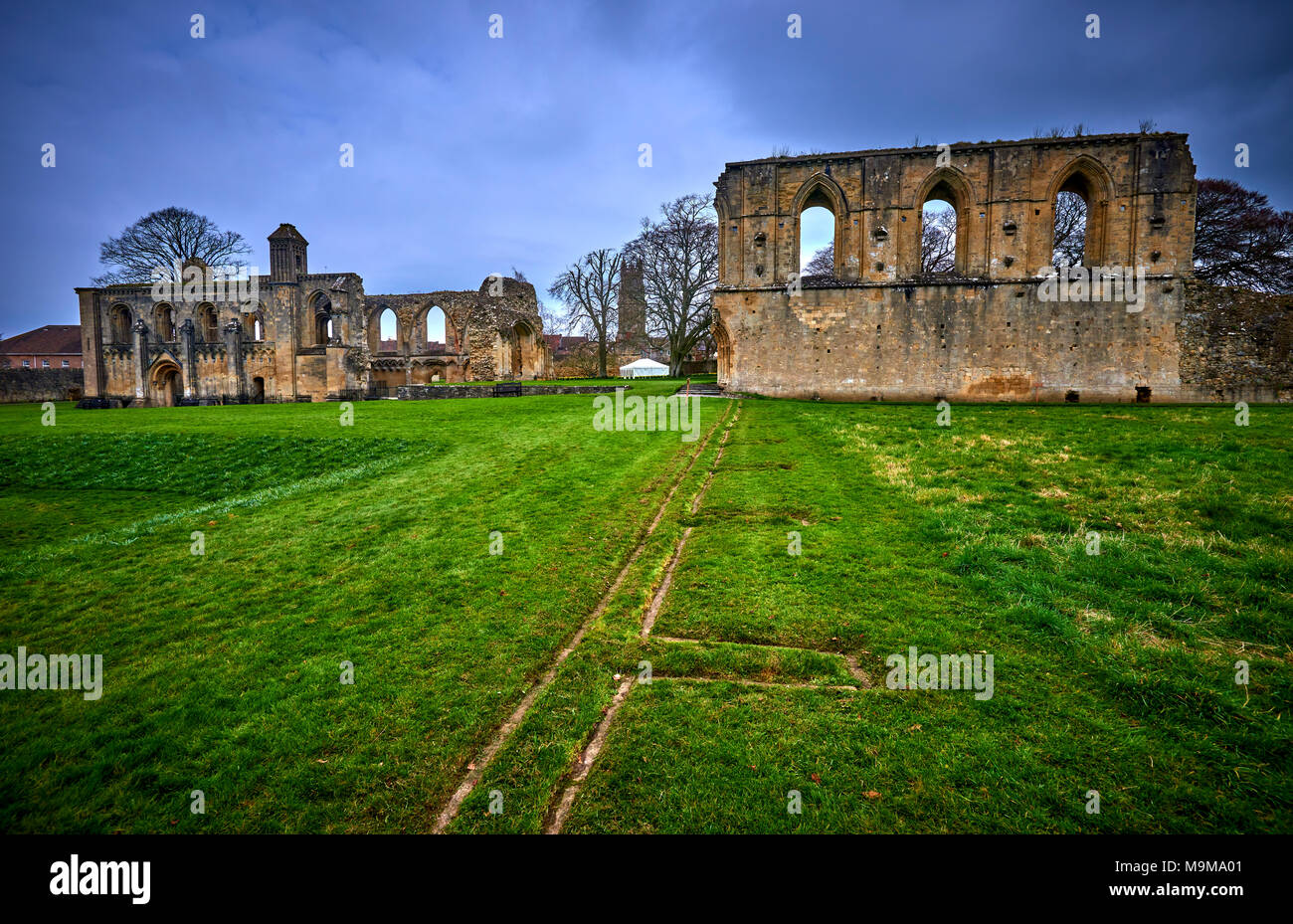 Glastonbury (BDGWC) Foto Stock