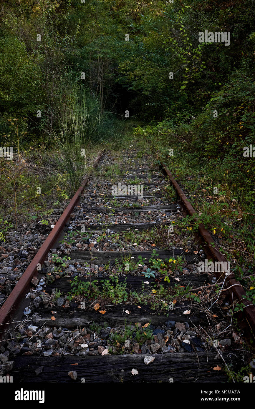 Fine della linea - Un incolto ferroviarie dismesse via Foto Stock