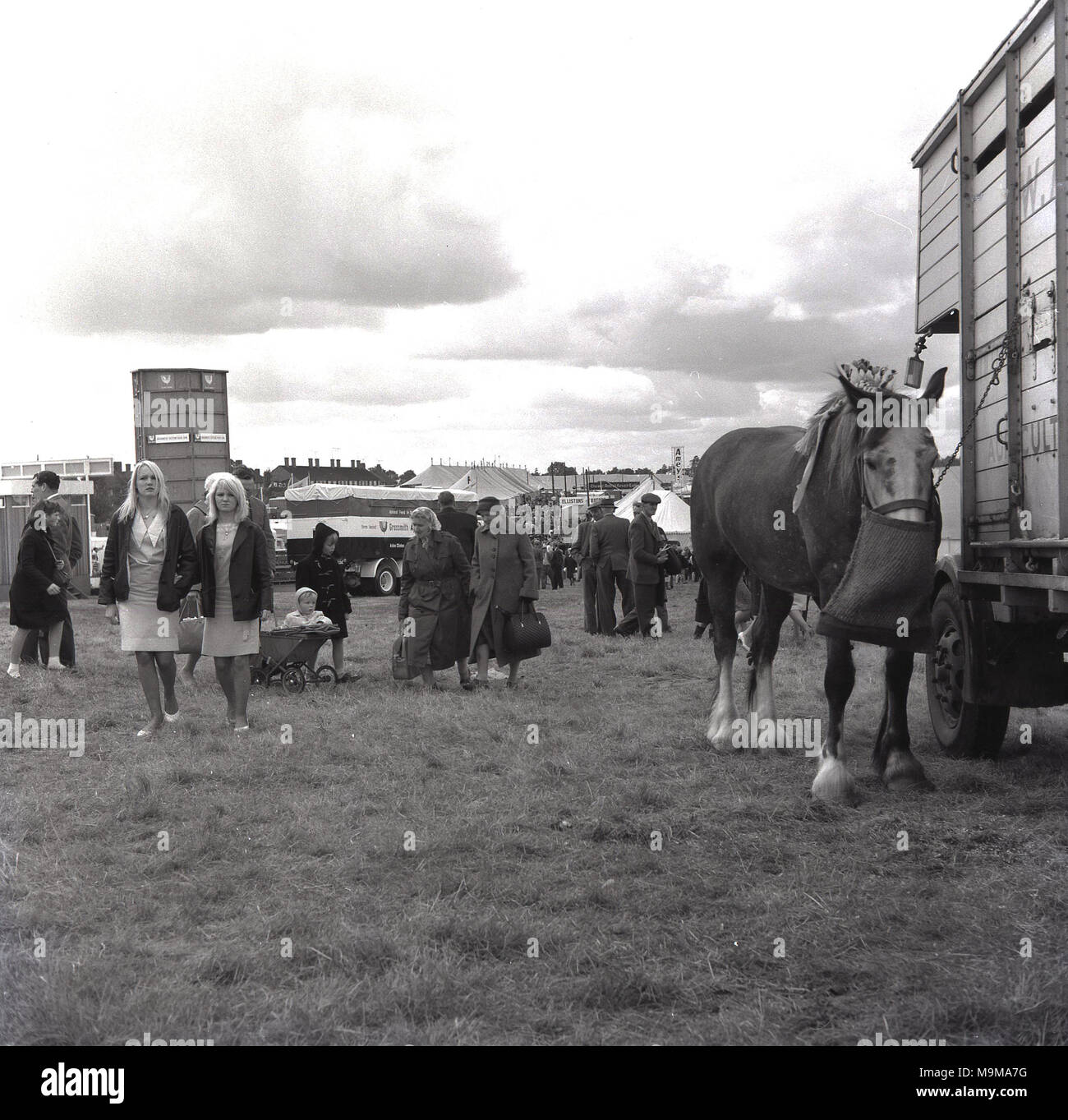 Anni sessanta, storico visitatori girovagando intorno a una contea mostrano nel Buckinghamshire, con un cavallo legato alla sua casella di cavallo utilizzando un sacco di alimentazione, Inghilterra, Regno Unito. Foto Stock