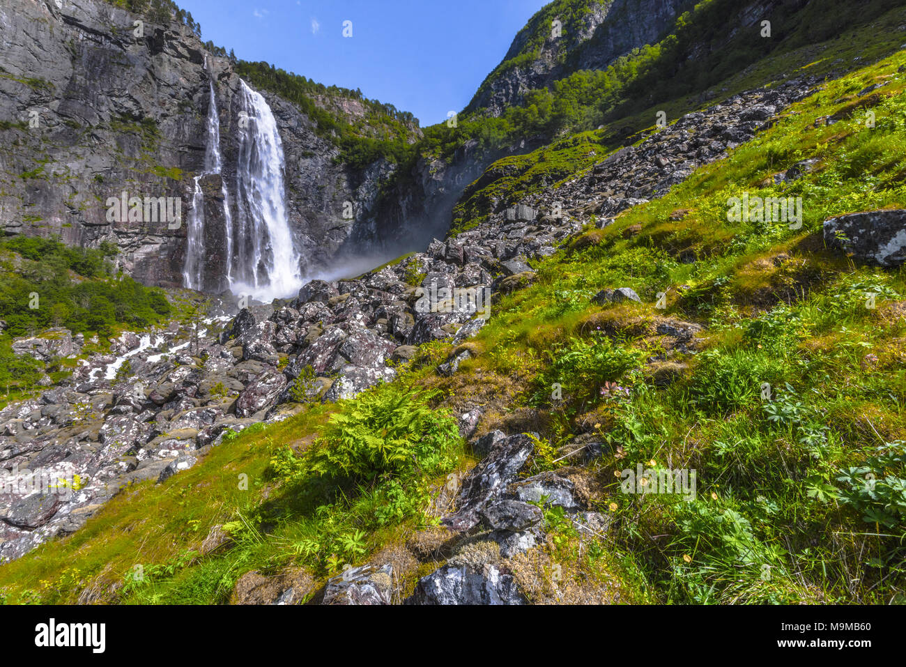 Cascata con mountainscape fiorito, Norvegia, alta cascata della Feigumfossen presso il Lustrafjorden, Sognefjorden Foto Stock