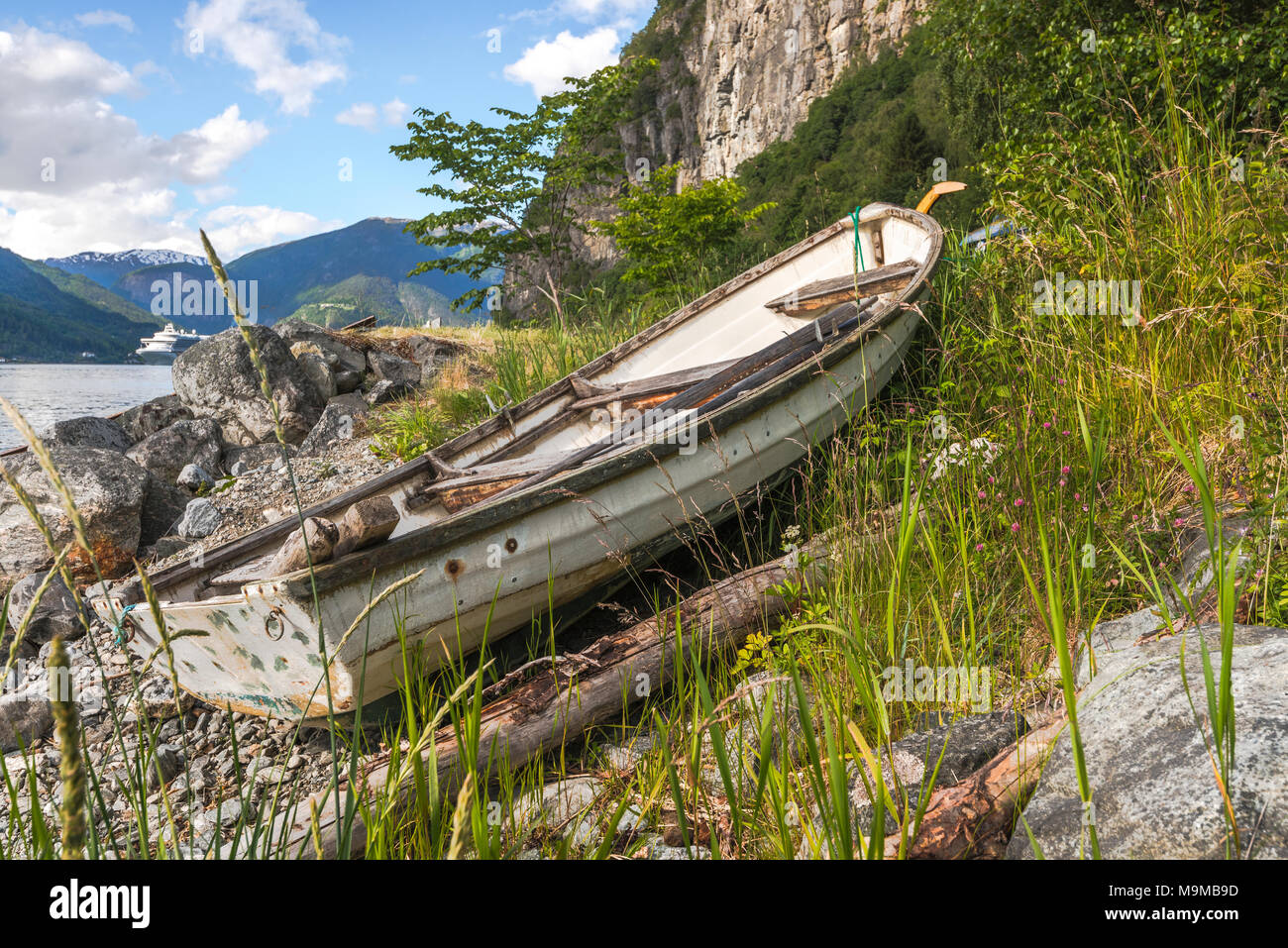 Scenario idilliaco presso la riva, Norwegen, vista del fiordo con barca e nave da crociera sul mare Foto Stock