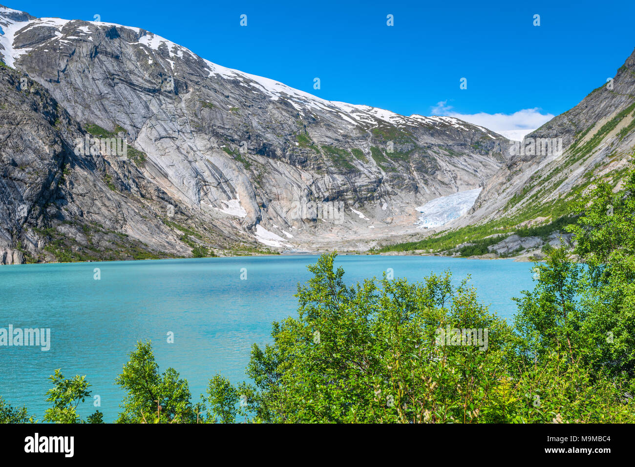 Lago glaciale del ghiacciaio Nigardsbreen, Norvegia, Jostedalsbreen Parco Nazionale Foto Stock