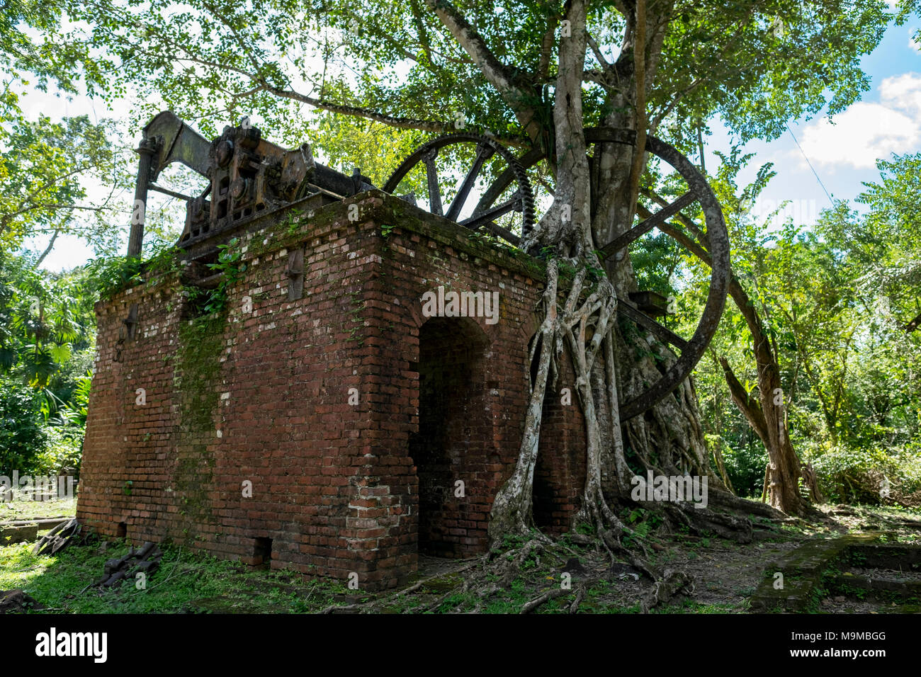 Strumenti e resti di fabbrica da un vecchio zucchero mulino elaborazione risalente alla metà del XIX secolo a Lamanai, Belize Foto Stock