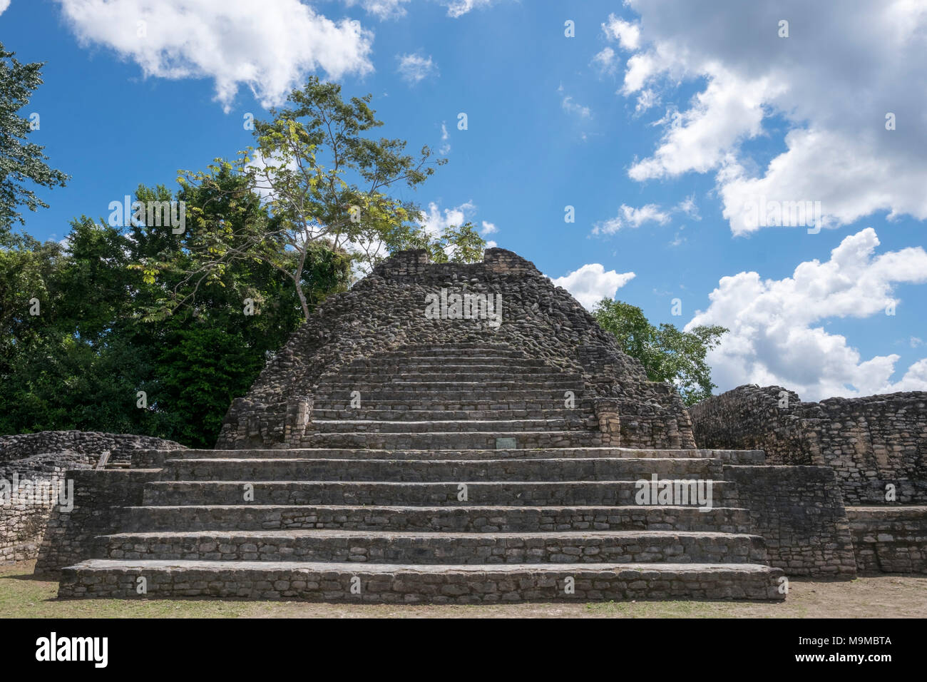 Antichi templi Maya e rovine di Caracol, Belize Foto Stock