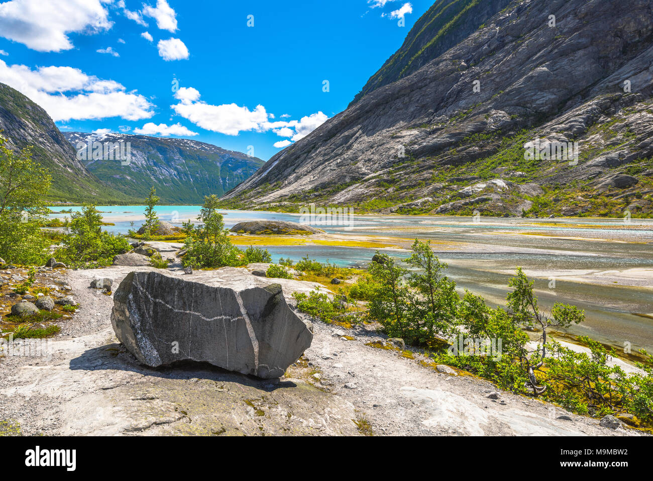 Forza naturale, enorme masso presso il lago glaciale, Norvegia, Nigardsbreenvatnet, Jostedalsbreen Parco Nazionale Foto Stock