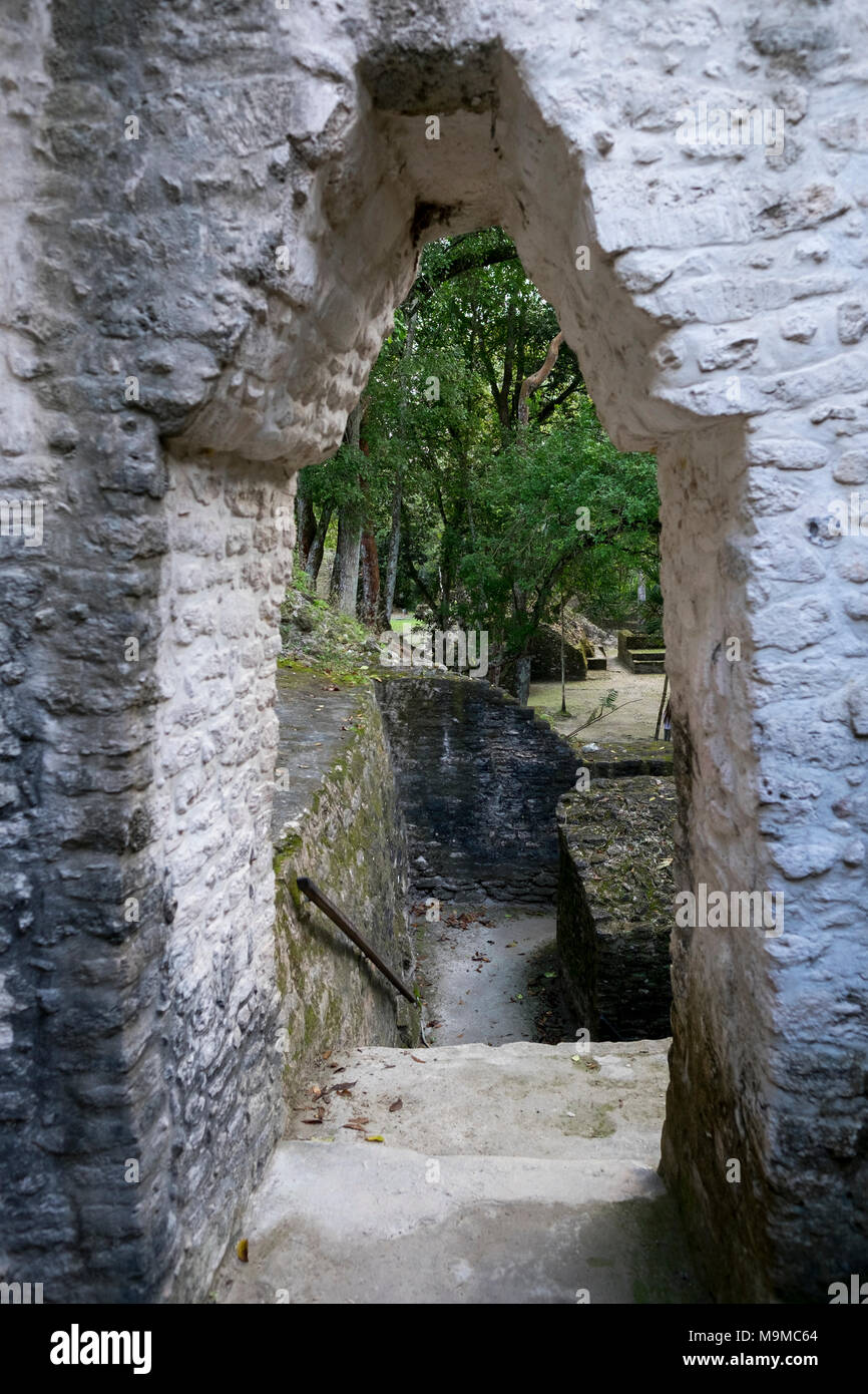 Corbel portali ad arco in una rovina Maya in Cahel Pech, Belize Foto Stock