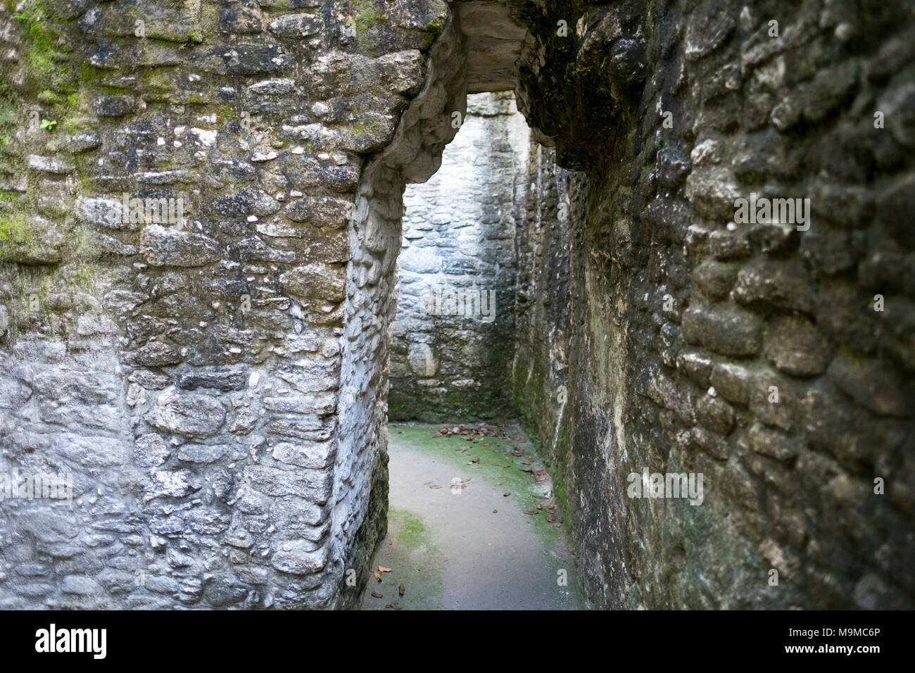 Corbel portali ad arco in una rovina Maya in Cahel Pech, Belize Foto Stock