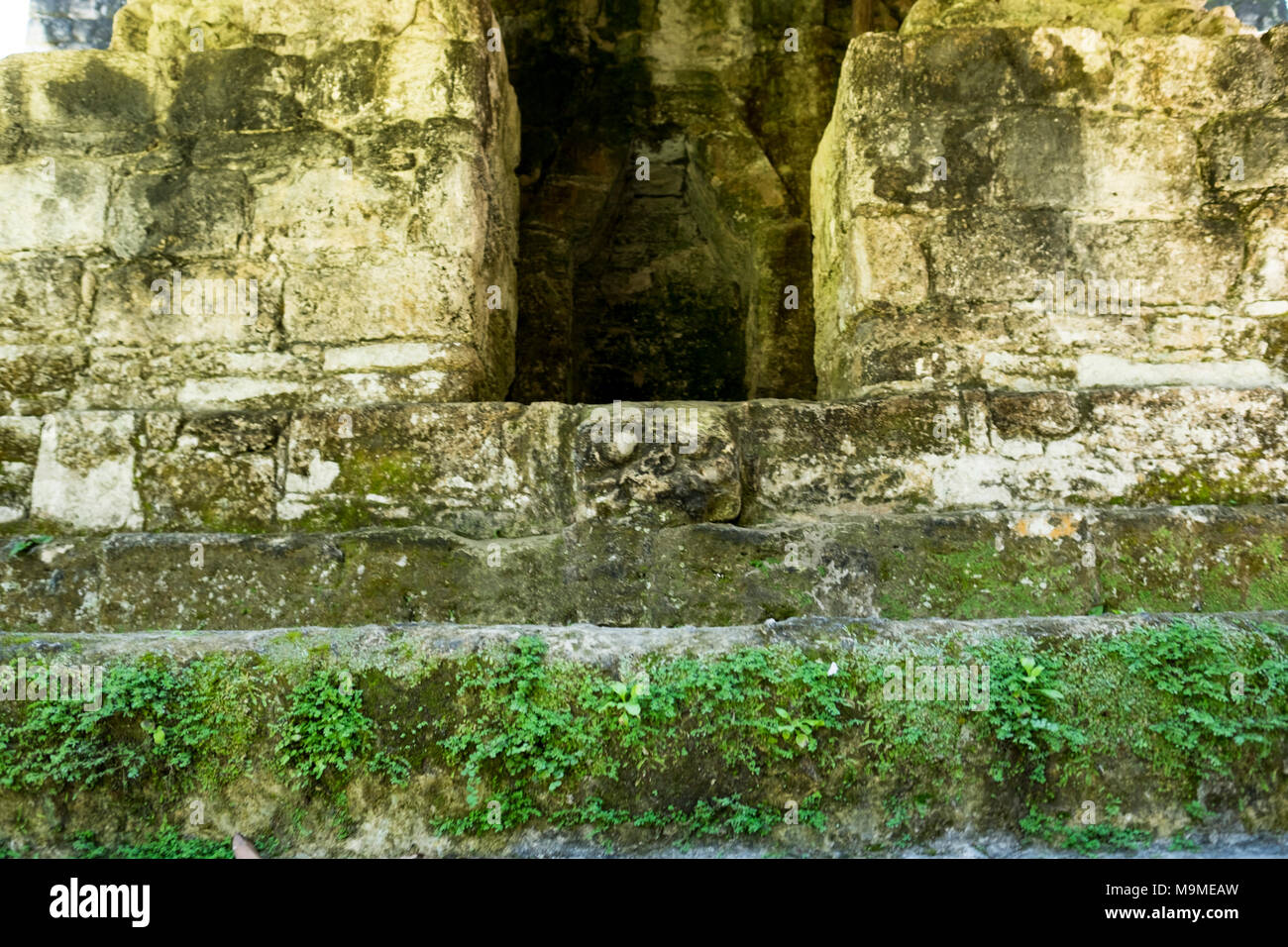 Antica Maschera Maya raffigurante la testa di un giaguaro su un tempio di Tikal, Guatemala Foto Stock