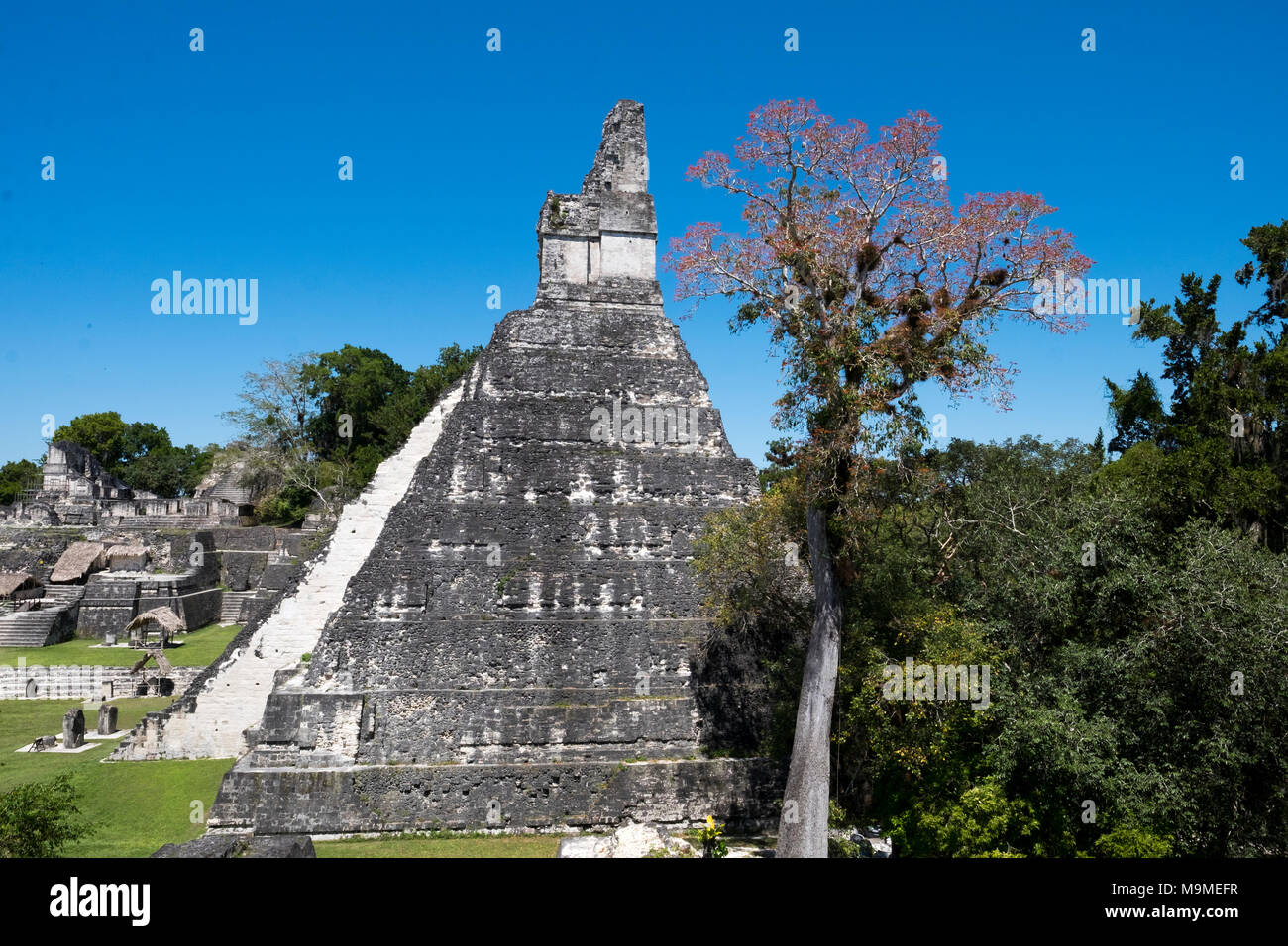 Antico tempio maya di Tikal, Guatemala Foto Stock