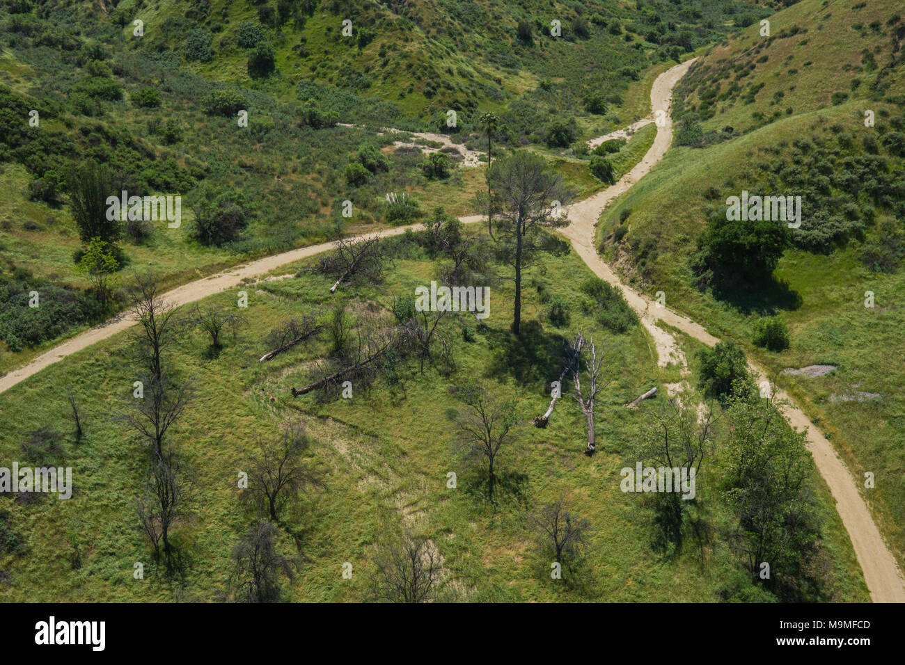 Tre sentieri si fondono insieme in California Grass Valley. Foto Stock