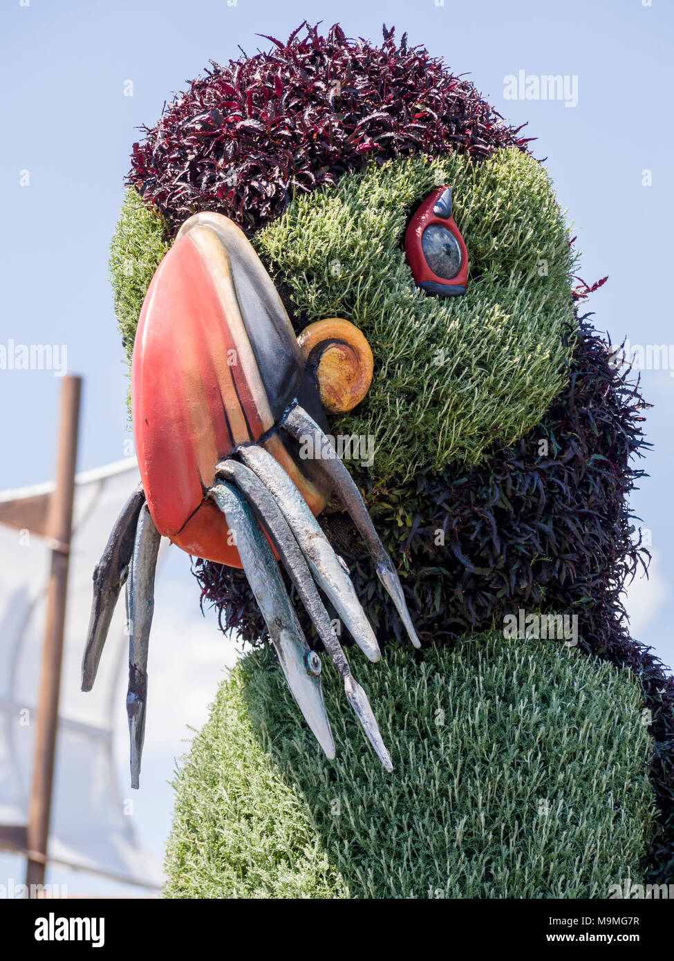 Impianto scultura di Puffin con un becco pieno di pesci: un enorme a base di vegetali la scultura di un TERRANOVA puffin con pesce nella sua bocca a MosaiCanada 150. Foto Stock