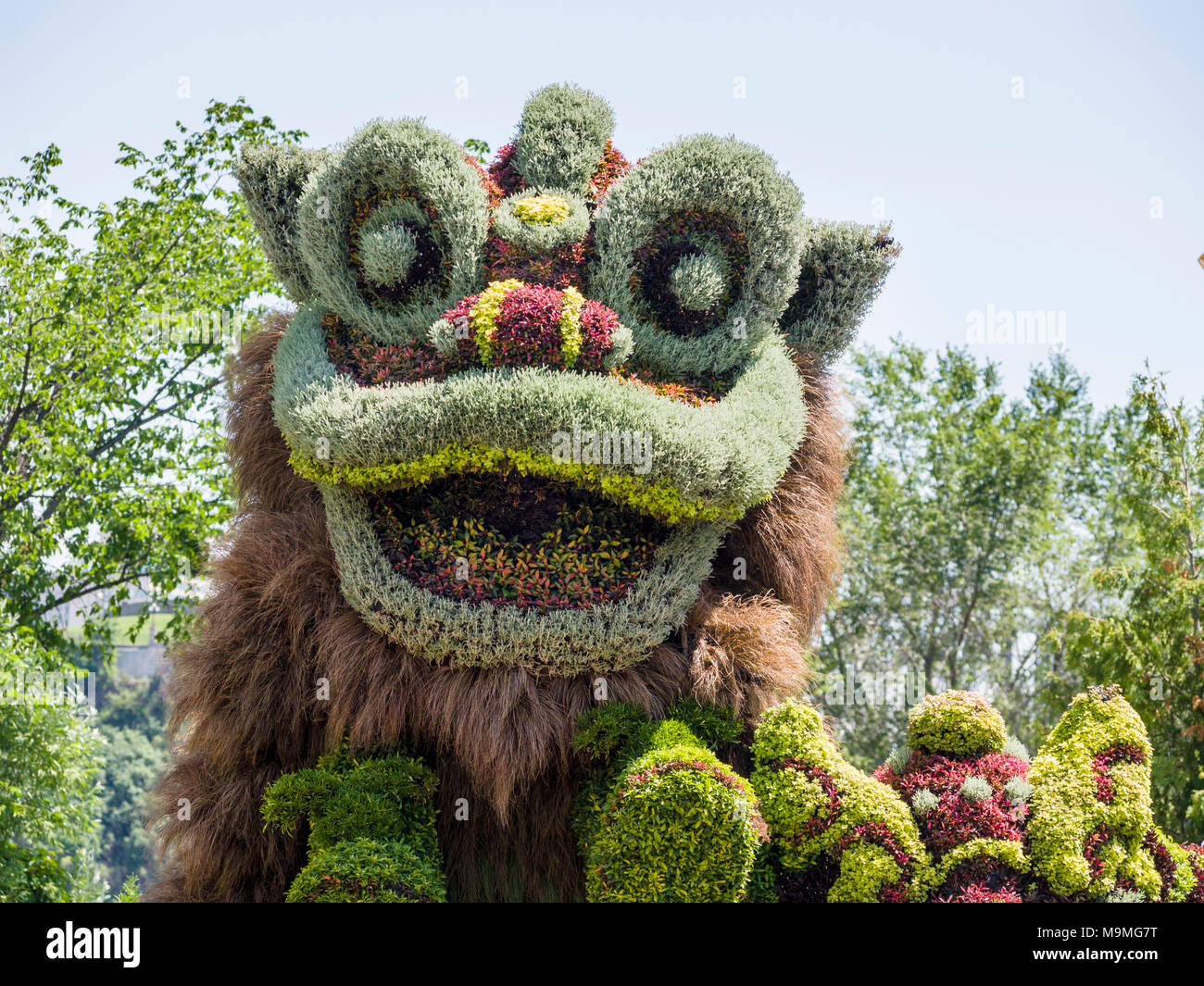 Drago Cinese scultura vegetali: un enorme a base di vegetali scultura cinese del mitico dragon formata da una moltitudine di piante colorate a MosaiCanada 150. Foto Stock
