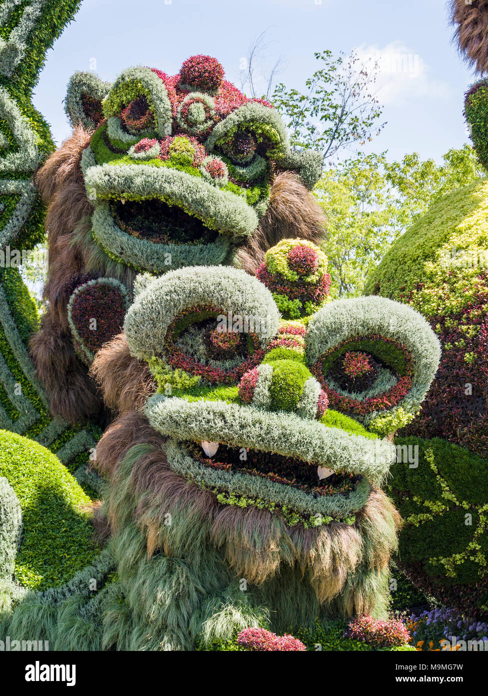 Drago Cinese capi impianto scultura: un enorme a base di vegetali scultura di una coppia di cinesi mitici dragoni formata da una moltitudine di piante colorate a MosaiCanada 150. Foto Stock