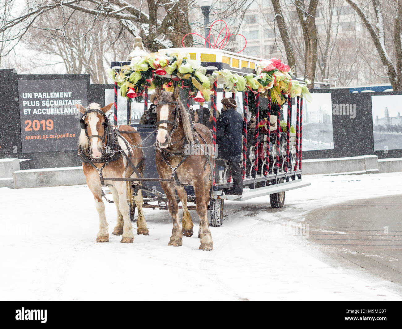 A cavallo il tour della città di Québec nella neve: un team di cavalli tira un decorato carro a ruote sulla strada innevata al di fuori del Quebec legislatura. Foto Stock