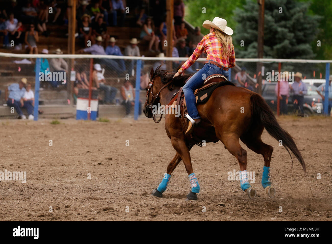 Cowgirl riscaldando il suo cavallo prima corsa della botte Foto Stock