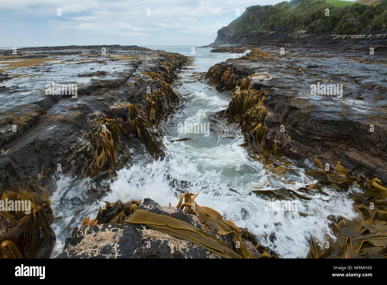 Respiro Oceano Meridionale scenario della baia di curiosita', il Catlins, Nuova Zelanda Foto Stock