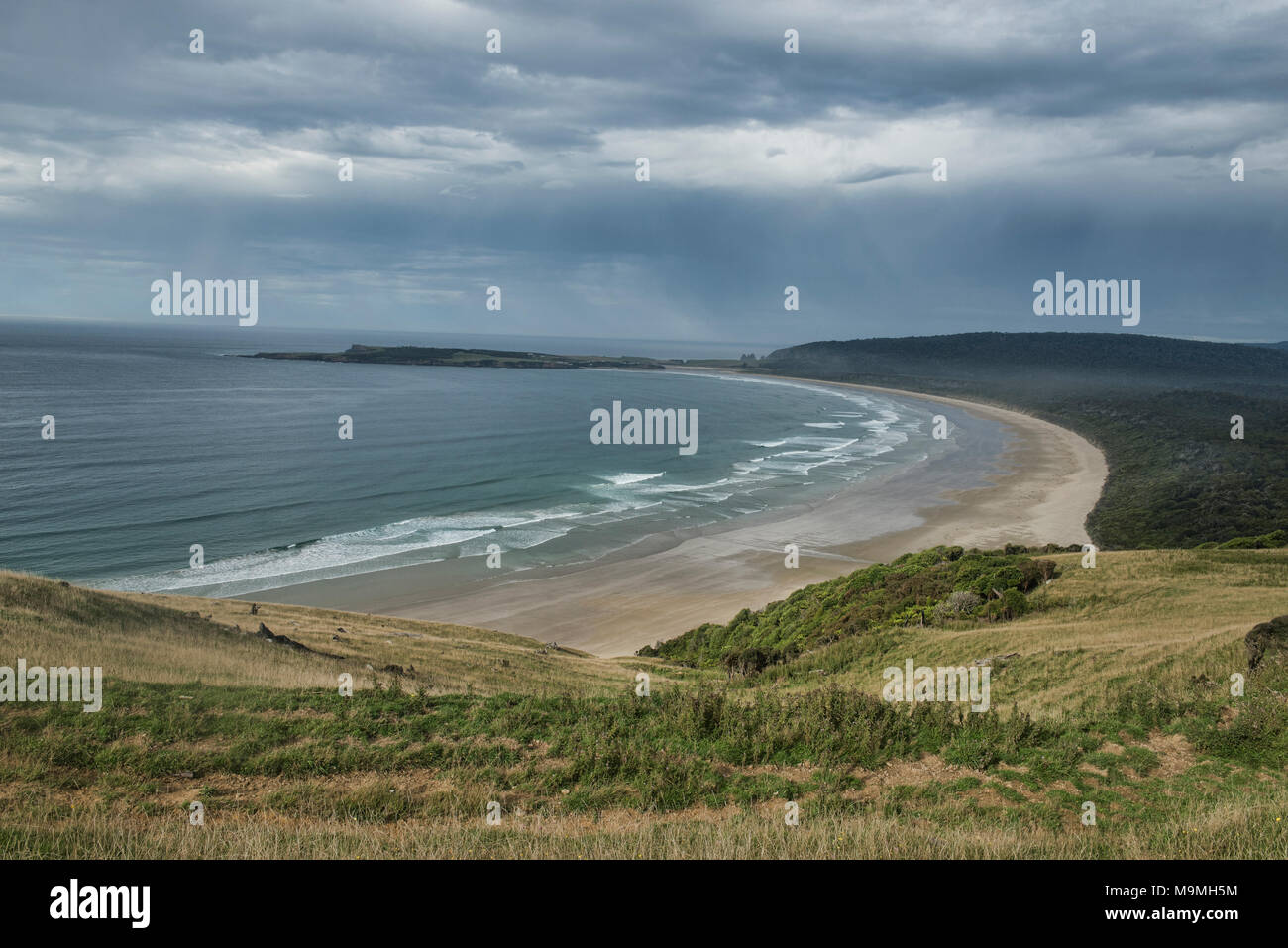 Incontaminata Spiaggia Tautuku, Il Catlins, Southland, Nuova Zelanda Foto Stock