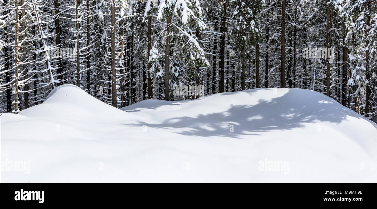 Paesaggio panoramico. Paesaggio invernale con lunghe ombre. Foto Stock