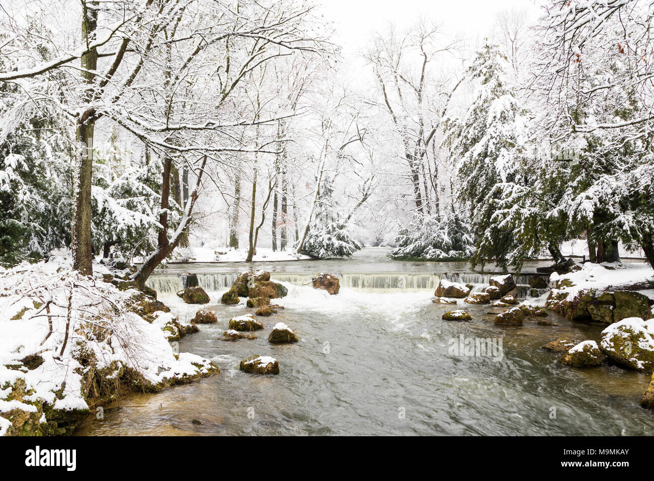 Eisbach con coperte di neve alberi, il Giardino Inglese di Monaco di Baviera, Germania Foto Stock