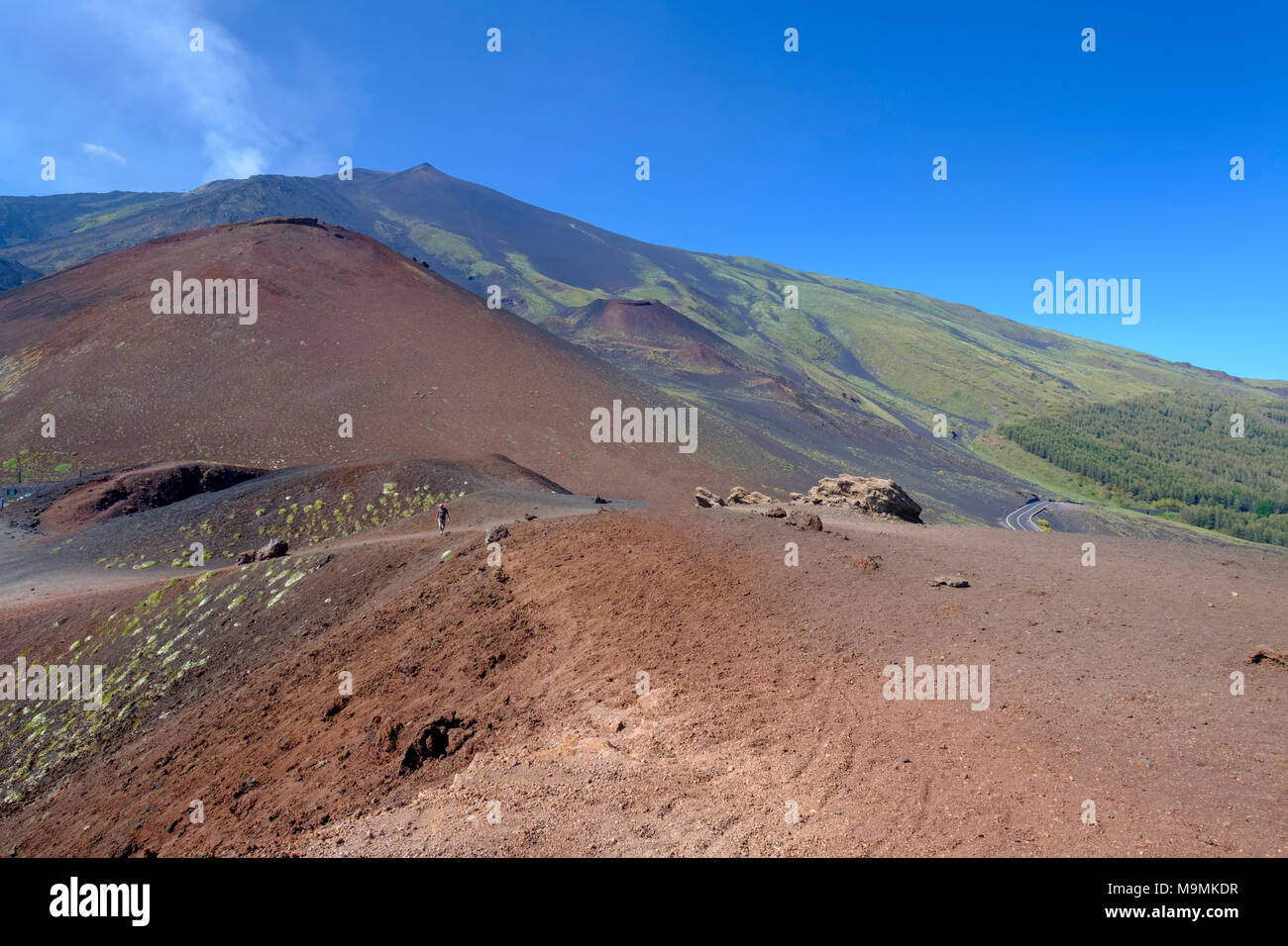 Paesaggio vulcanico, Vulcano Etna, provincia di Catania, Silcilia, Italia Foto Stock