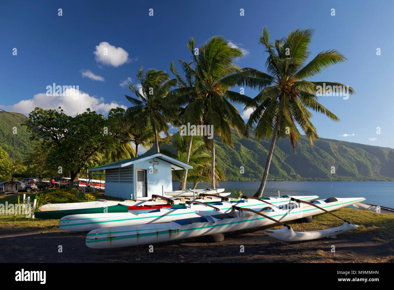 Canoe sulla spiaggia con palme, Tahiti Iti, isole della Società, isole Windward, Polinesia Francese Foto Stock