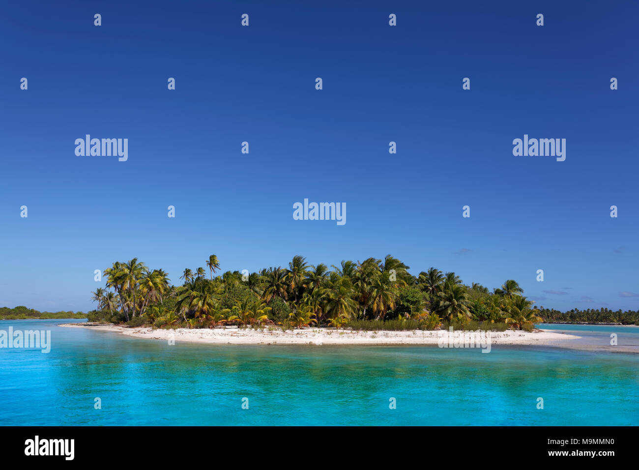 Isola solitaria in laguna, spiaggia con palme, acqua turchese Tikehau Atoll, Arcipelago Tuamotu, isole della società Foto Stock