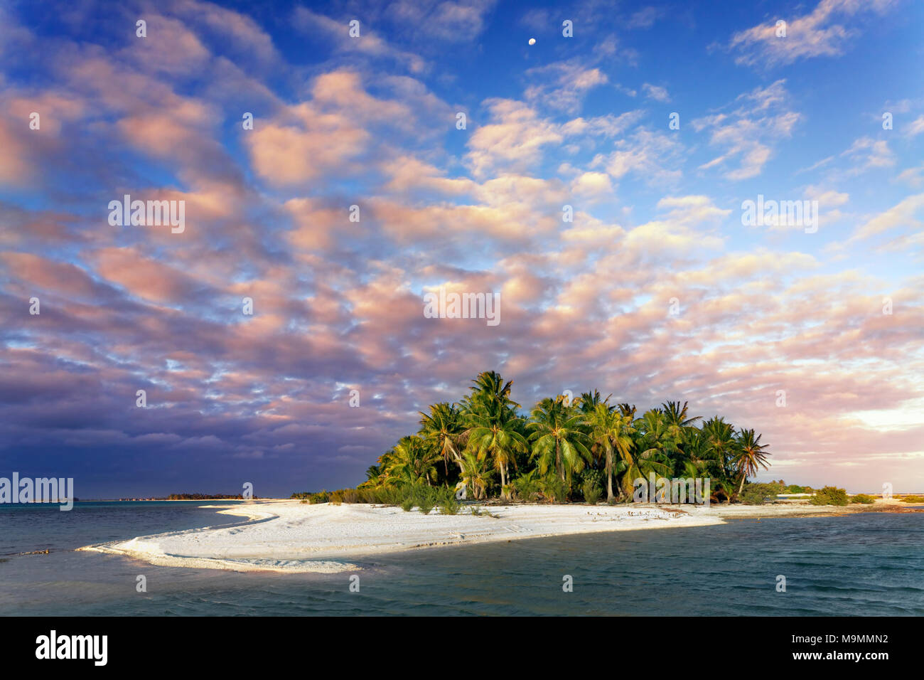 Isola solitaria, spiaggia con palme, nuvole, Tramonto, Tikehau Atoll, Arcipelago Tuamotu, isole della Società, isole sopravento Foto Stock