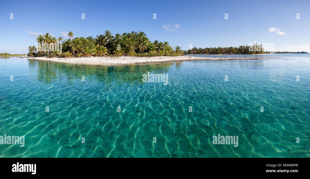 Isola solitaria in laguna, spiaggia con palme, acqua turchese Tikehau Atoll, Arcipelago Tuamotu, isole della società Foto Stock