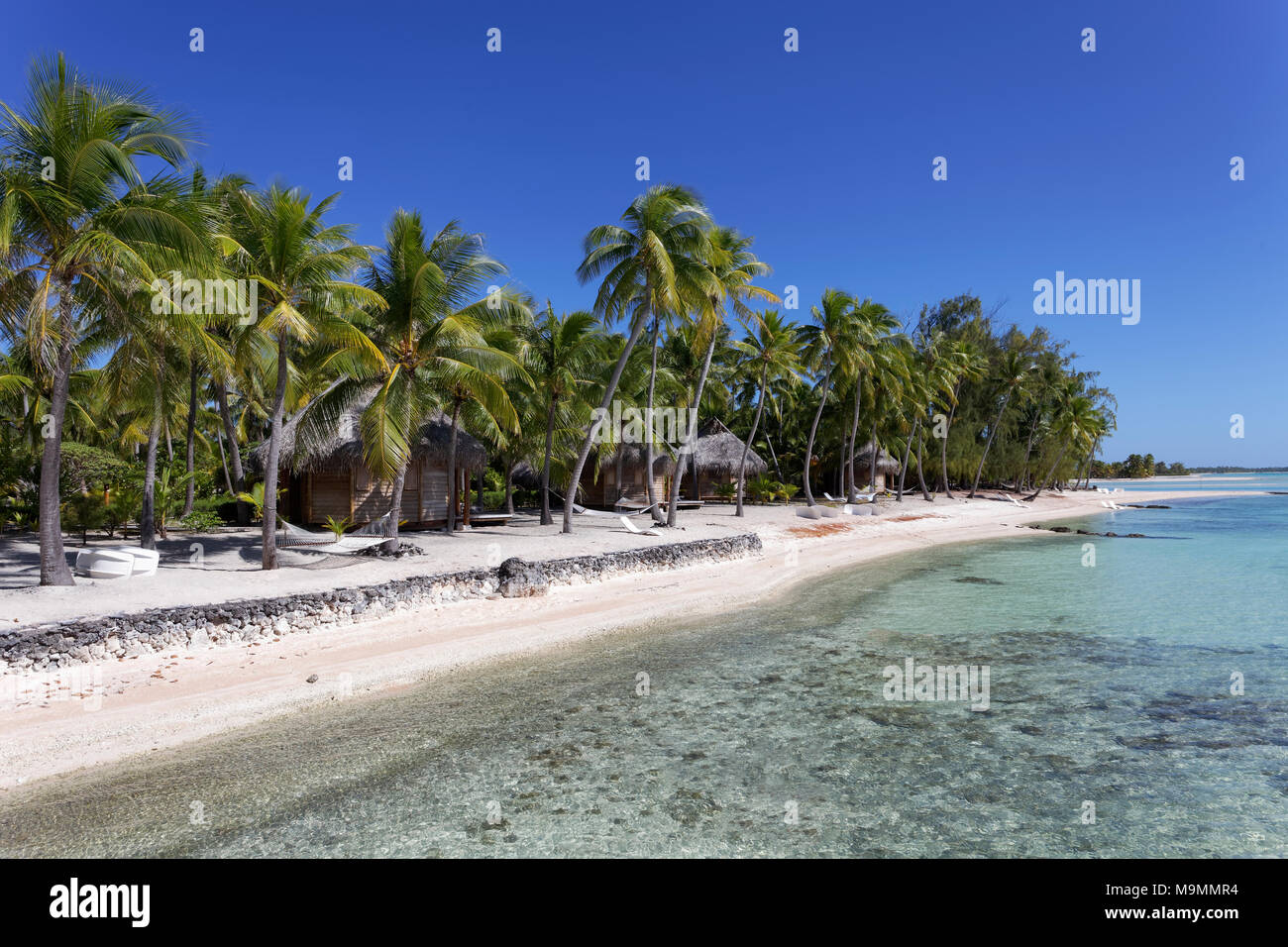 I bungalow sulla spiaggia sotto le palme, Tikehau Atoll, Arcipelago Tuamotu, isole della Società, isole Windward, Polinesia Francese Foto Stock