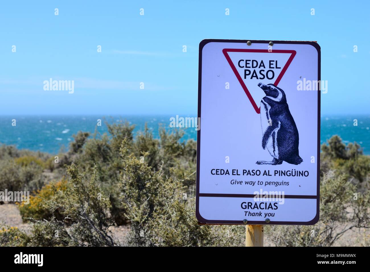 Scudo attenzione dei pinguini di Punta Tombo, Chubut, Argentina Foto Stock