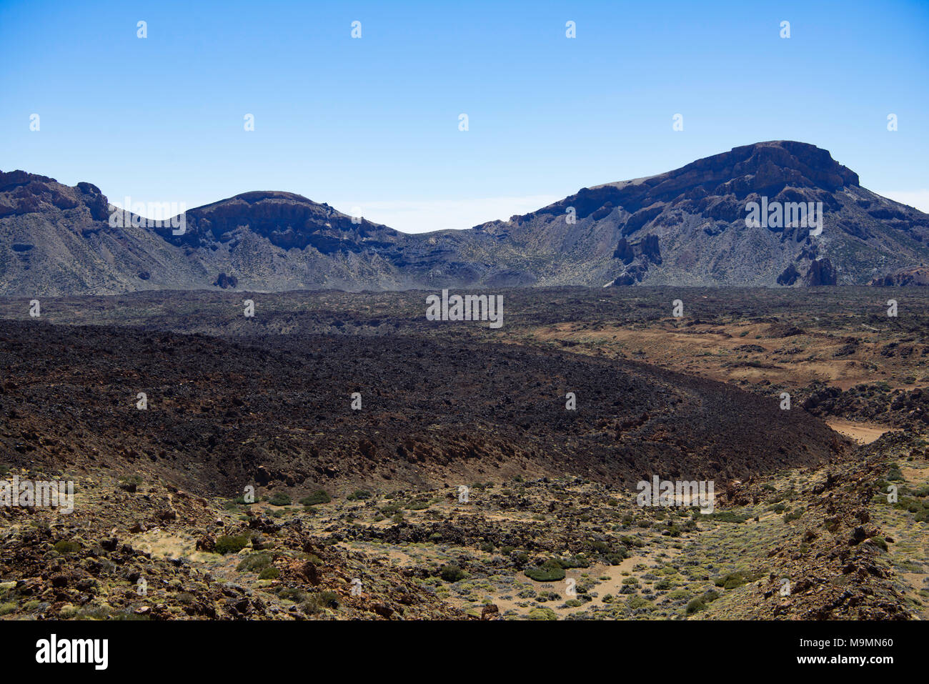 Lavafeld Tabonal El Negro, paesaggio vulcanico, Parco Nazionale di Teide Parque Nacional del Teide Tenerife, Isole Canarie, Spagna Foto Stock