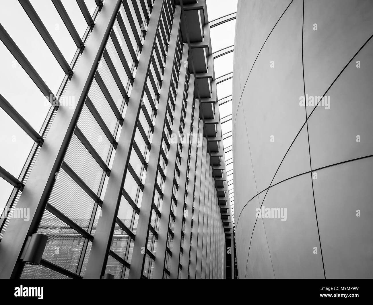 Londra, Inghilterra - Gennaio 2017 : Architettura moderna del Charles Darwin Centre, progettato da architetti scandinavi CF Moller, per la naturale Hist Foto Stock