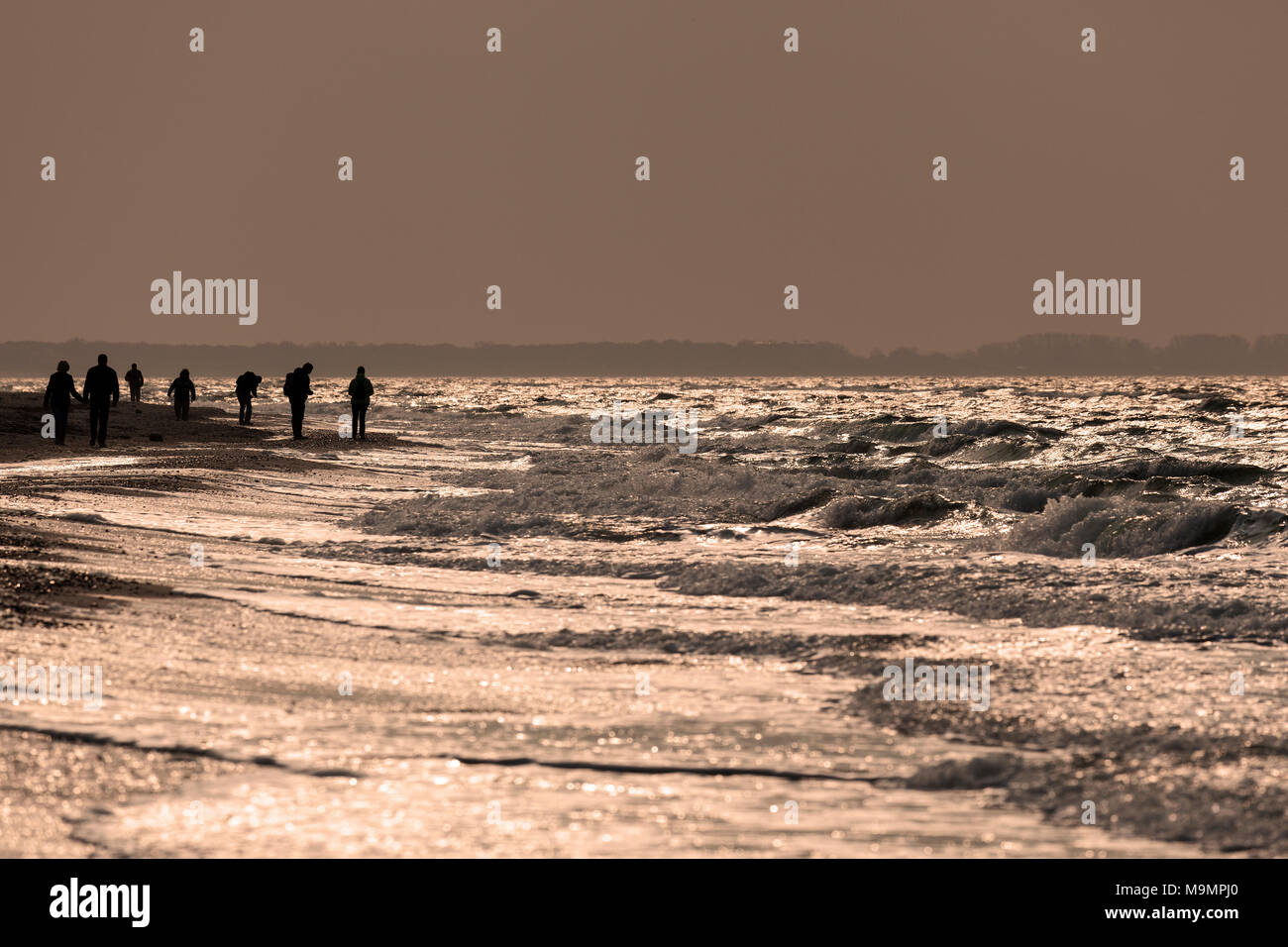 La gente sulla spiaggia con mare mosso nella luce della sera, Darßer Ort, Fischland-Darß-Zingst, Western Pomerania Area Laguna Foto Stock