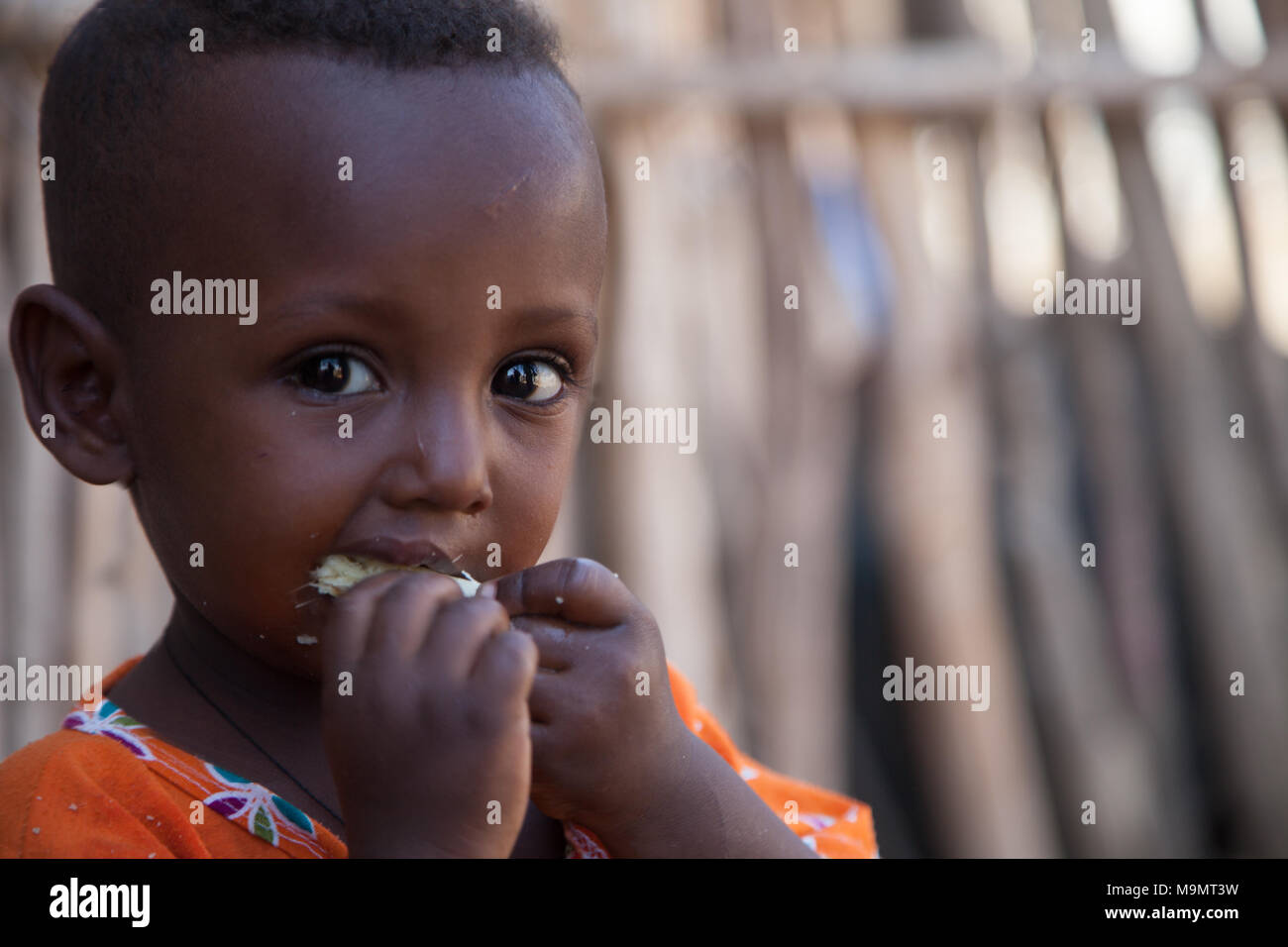 Ritratto di un ragazzino, mangiare, Etiopia Foto Stock