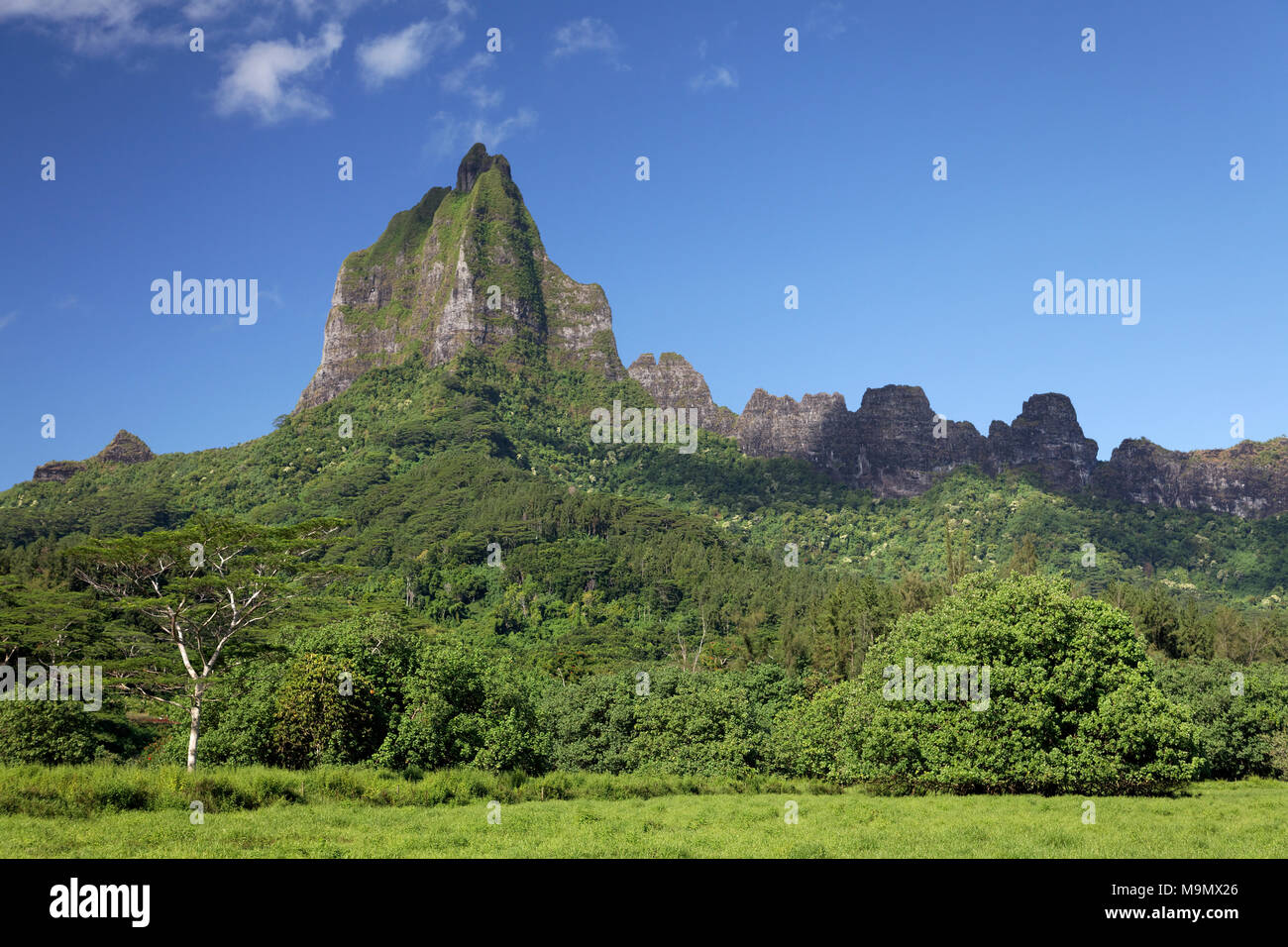 Ricoperta di verde la gamma della montagna con il picco più alto, Mont Tohiea, 1207 m, Moorea, isole della Società, isole sopravento Foto Stock