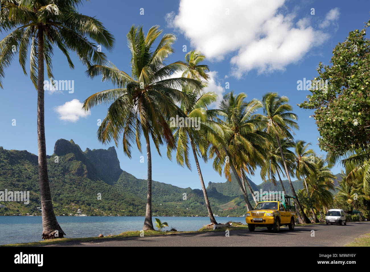 Il traffico stradale, con vetture a baia Opunohu, bay con palme al mare, oceano pacifico, Moorea, isole della Società, isole sopravento Foto Stock