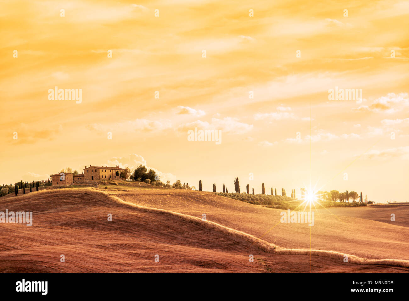 Bellissimo paesaggio tipico della Toscana al tramonto, Italia Foto Stock