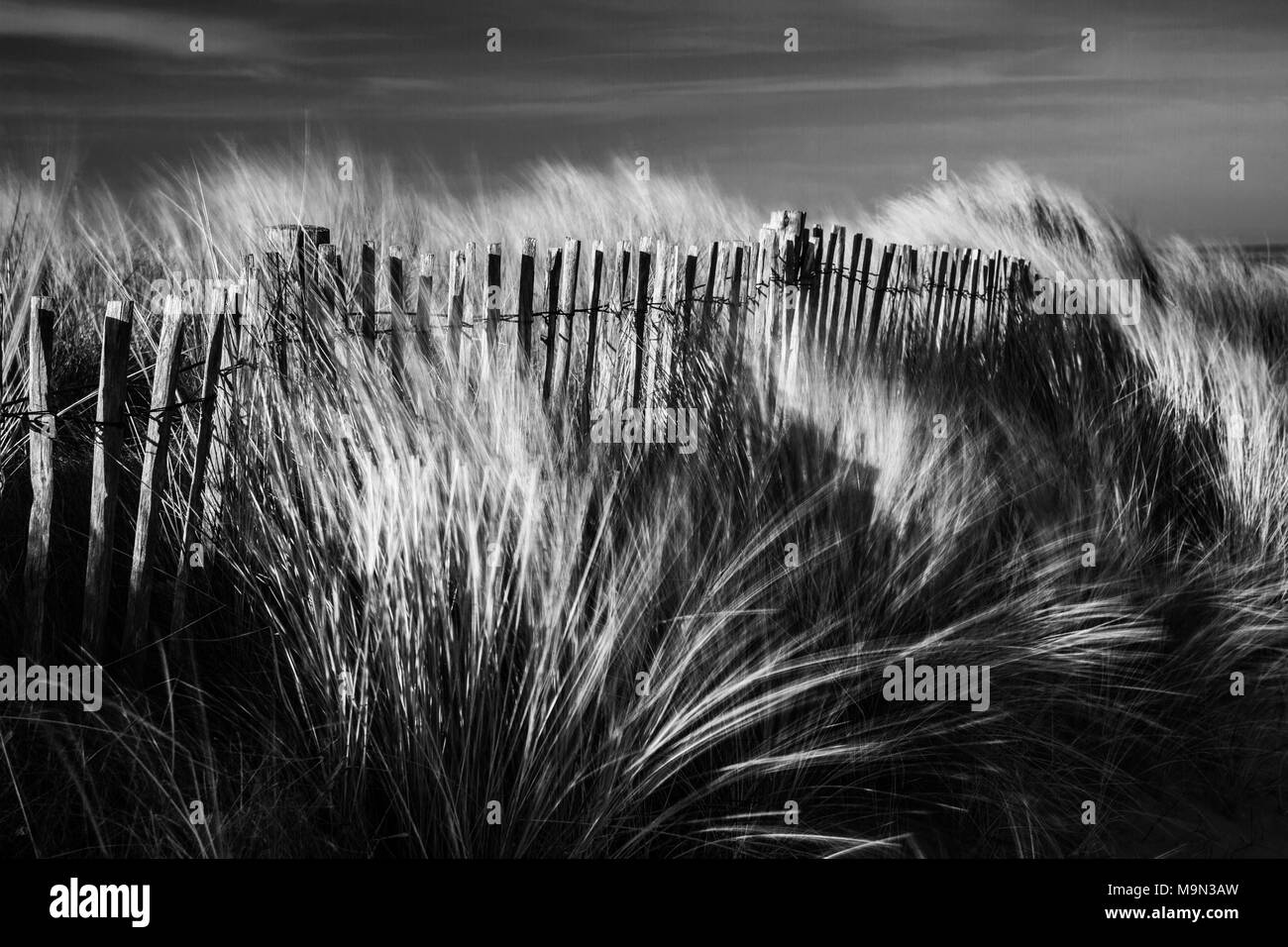 Le dune di sabbia in spiaggia Greatstone. A sud-est dell' Inghilterra. Foto Stock