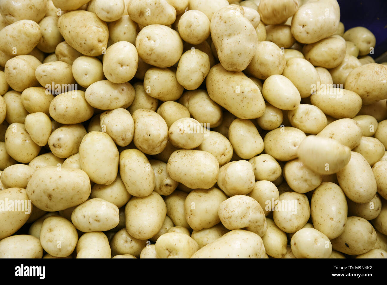 Pila di fresco, materie di patate. Settore di produzione alimentare concetto e lo sfondo a trama. Foto Stock
