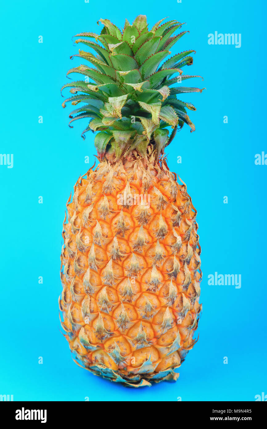 Ananas su sfondo blu Foto Stock