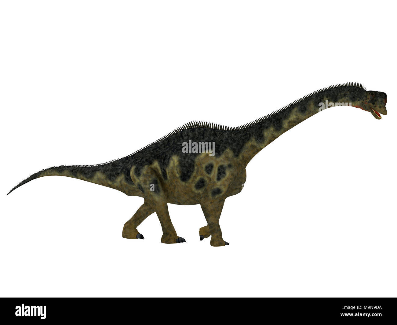 Dinosauro Europasaurus profilo laterale - Europasaurus era un erbivoro sauropod dinosaur che vivevano in Germania, in Europa durante il Giurassico. Foto Stock