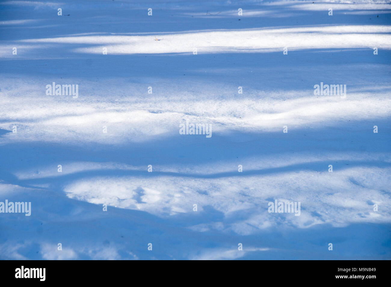 Neve sul terreno Foto Stock